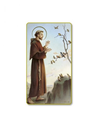 Santino di San Francesco...